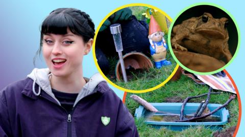 Image of BLue Peter Presenter Abby smiling in front of pictures in bubbles showing a toad abode make.