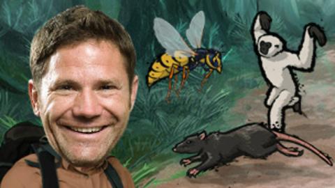 Steve Backshall and the deadly skull in the jungle