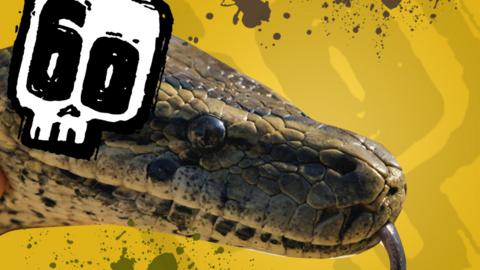 A snake and the Deadly 60 logo.