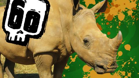 A rhino and the Deadly 60 logo.