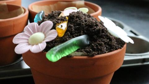 A plantpot with chocolate cake in, edible flowers and jelly worms.