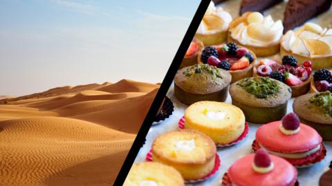 A yellow sand desert to the left and an array of delicious French cakes to the right, separated by a heavy black line.