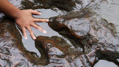 Dinosaur footprint with child's hand in it