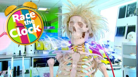 A Skeleton wears a wig with a 'race the clock' icon.