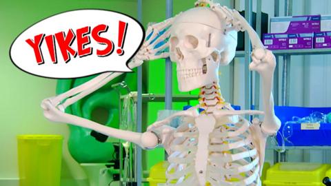 A skeleton with his hands on his head and a speech bubble saying 'Yikes!'.