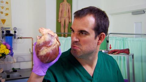 A doctor holding a pigs heart in a lab.