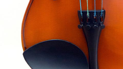 A close up of an orchestral instrument.