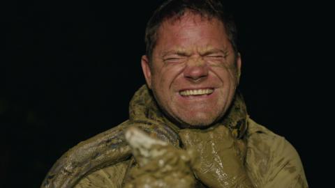 Steve Backshall with a python.