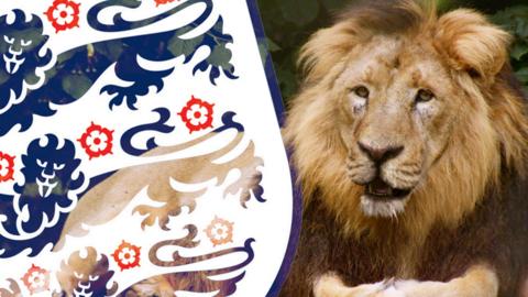 A lion and the England emblem.