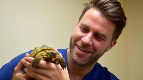 A vet in blue scrubs smiling while holding a tortoise.