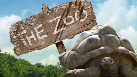 A wooden sign that reads 'The Zoo' with a giant tortoise in front of it.