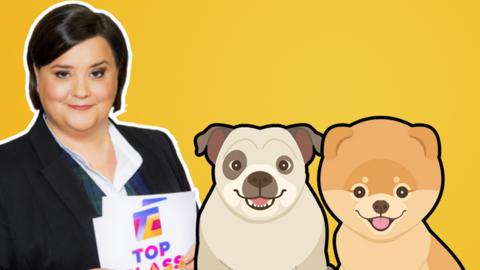 Yellow background with Susan Calman from Top Class, and two cartoon dogs next to her.