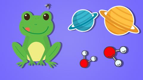 Purple background with text that reads 'science' in the centre. There are illustrations of two planets, an atom and a frog and a fly.