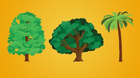 Yellow background with illustrations of three different types of tree.