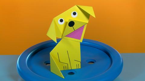 folded square dog make