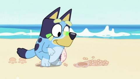 Bluey is at the beach.