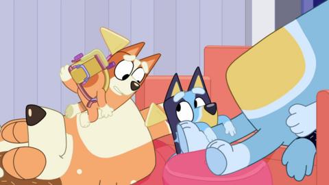 Bluey Rescue
