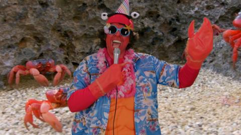 Andy is dressed as a cool crab, wearing sunglasses, a Hawaiian shirt and garland holding a microphone in front of real crabs on the sand.