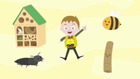 Illustrated boy character, bee, stick, bug and a bug house.