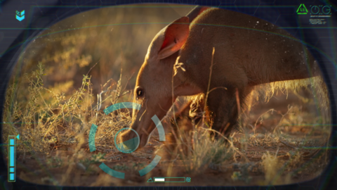 A close up image with digital circles and metres overlaid of the aardvark's head and neck as it sniffs around.
