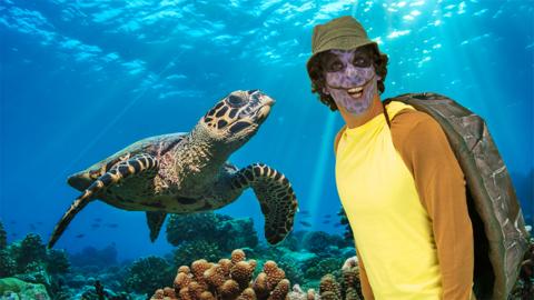 Andy day dressed up as a turtle underwater.