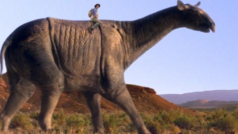 Andy riding a Paraceratherium dinosaur