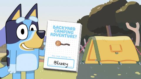 Camping Adventure Activity Book Bluey