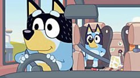 Bandit and Bluey are in the car.