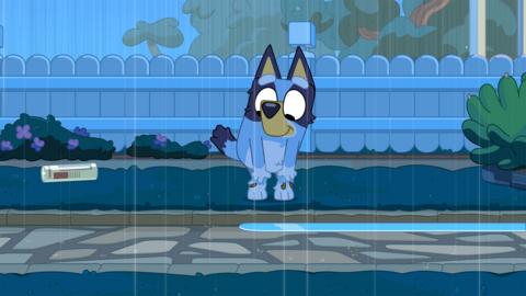 Rain