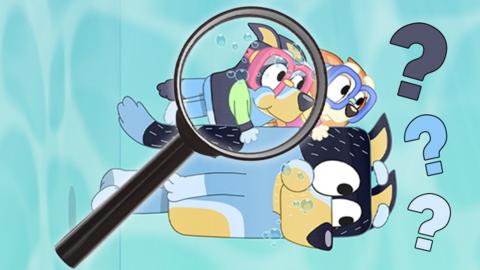 Bluey and bingo are swimming with bandit. There is a large magnifying class on the image with question marks.