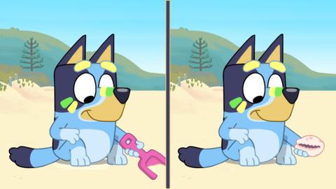 Two very similar pictures of Bluey on the beach, with only one difference - Bluey is holding a spade in one and a shell in the other.