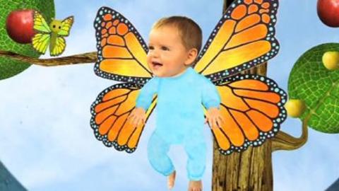 Baby Jake as a butterfly