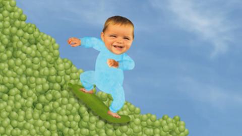 Baby Jake pea surfing