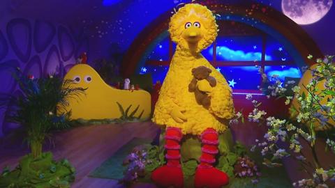 Click to watch Big Bird read Bird Song for CBeebies Bedtime Stories.