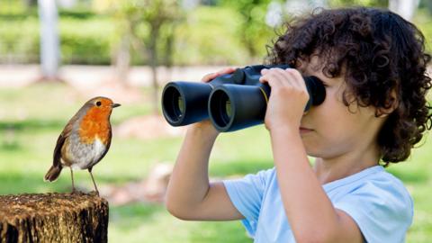 Photo of a garden bird with tips for how to identify it.