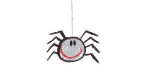 Spider