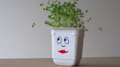 Yogurt pot cress head