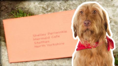 Salty in front of an addressed envelope