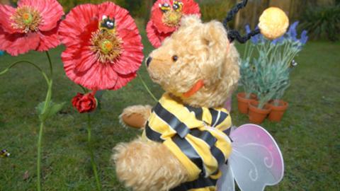 Teddington from Show Me Show Me dressed as a bee, looking at a bee in a red flower.