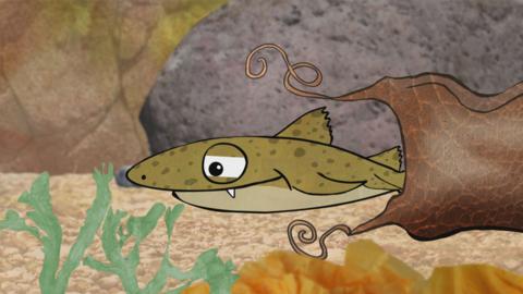 Mark the baby shark from Old Jack's Boat: Rockpool Tales coming out of his egg sac.