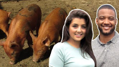 JB and Storm from Down On The Farm with Tamworth piglets feeding in the background.