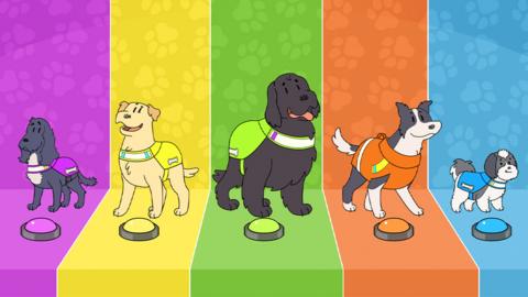 Illustration of five dogs, all different breeds, standing on different coloured backgrounds.