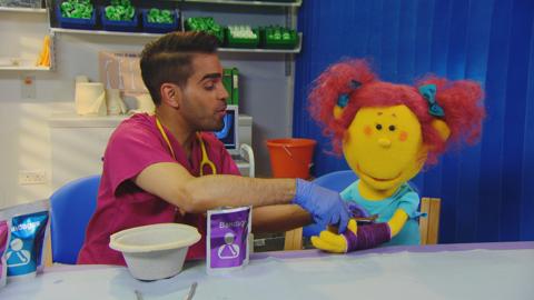 Dr Ranj putting a cast on Petal