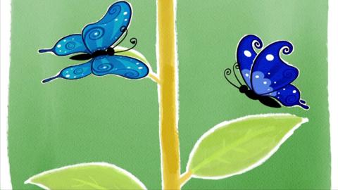 Two blue butterflies