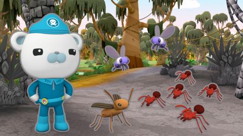 Octonauts insects quiz