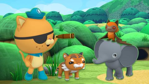 Octonauts mammals quiz