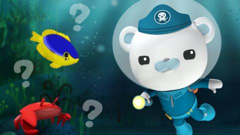 Barnacles is diving and is trying to identify under sea creatures for the Octonauts creature quiz.