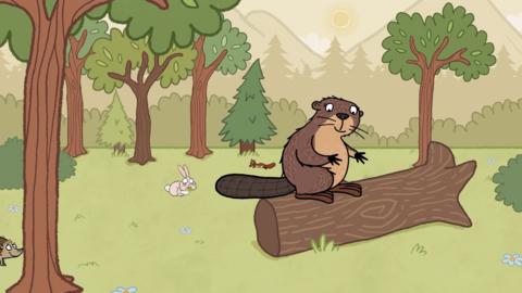 Click to watch Nick Cope's Popcast song about Eva the Beaver.