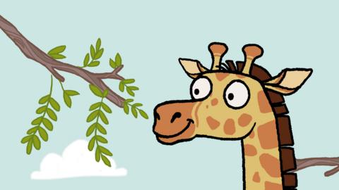 Click to watch Nick Cope's song about a giraffe with a long neck.