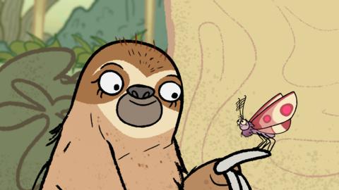 Click to watch Nick Cope's song about a moth and a sloth.